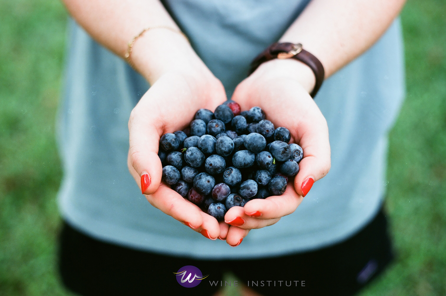 uvas_wine_institute_salta_lady_frenesi